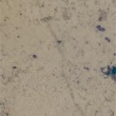 Aspen Cream Slab Counter Top